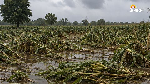 Crop Damage Compensation