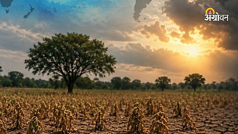 RBI Agriculture Outlook