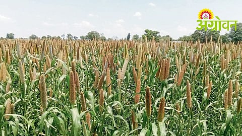 Agriculture Advisory