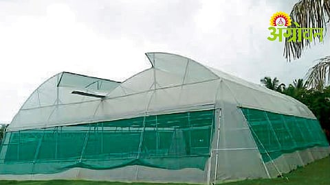 Polyhouse Management In Monsoon