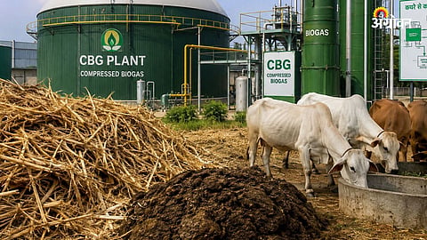 Biogas Scheme