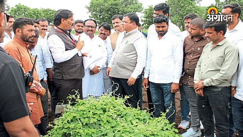 Quality control of farm inputs