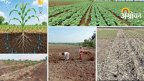 Soil Moisture Conservation