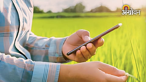 Crop verification delay affects Maharashtra farmers
