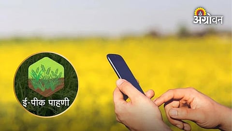 Farmer crop registration rights in Maharashtra