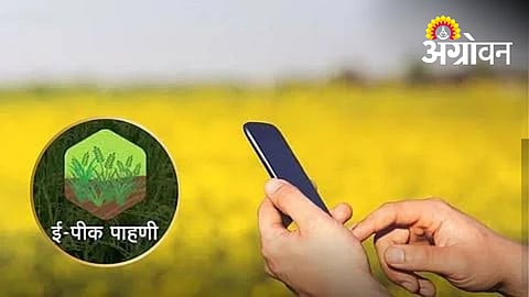 Online E-Crop Registration Speeds Up in Lohgaon