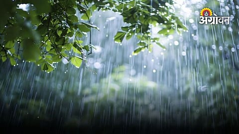 Rain forecast for farmers in Maharashtra