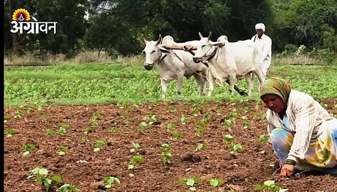 Kharif Sowing 2026 