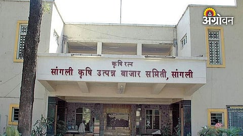 Existing Sangli APMC board gets temporary extension