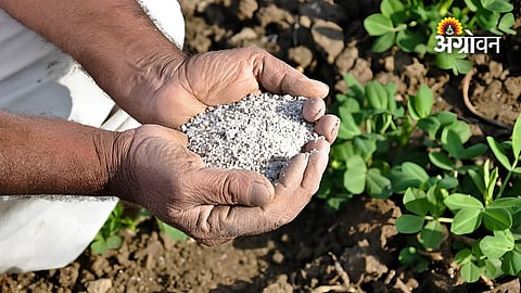 urea shortage and supply problem for farmers