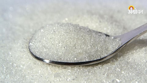 Sugar Prices