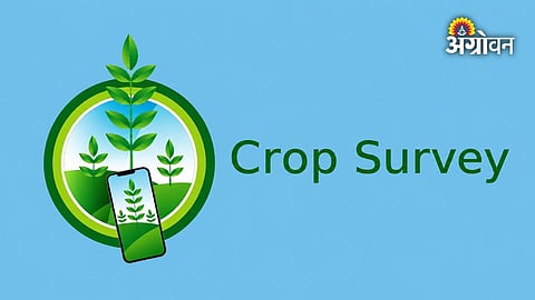 Maharashtra revenue department crop survey instructions