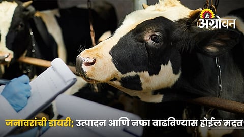 Livestock Performance Record Keeping