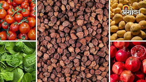 Daily agricultural market rates for Maharashtra farmers