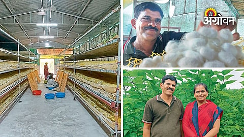 Sangli farmer success story in sericulture