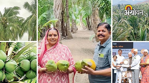 Progressive farmer success story from Nashik district