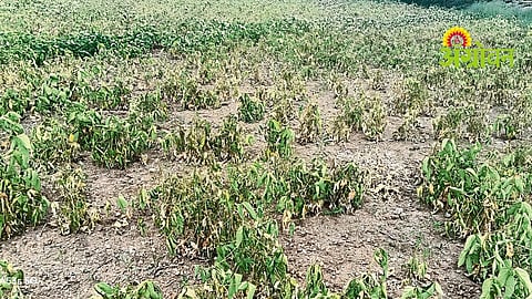 Rainfall Deficit