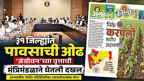 Maharashtra government response to rain deficit