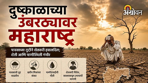 Maharashtra districts facing rainfall shortage