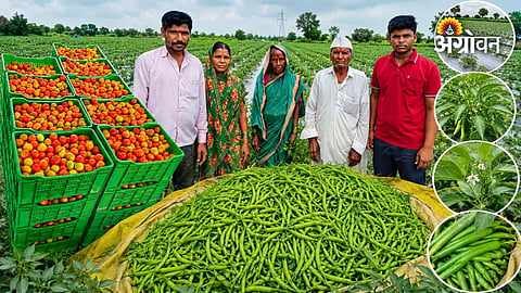 Maharashtra farmer transforms family income through vegetable farming