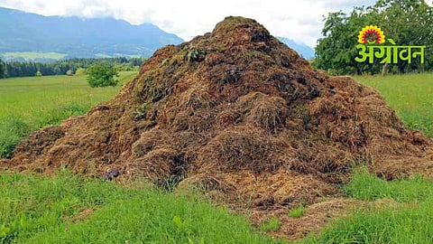 Organic Farming