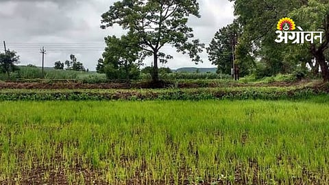 Rainfall Deficit