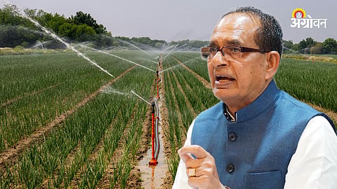 Agriculture Schemes