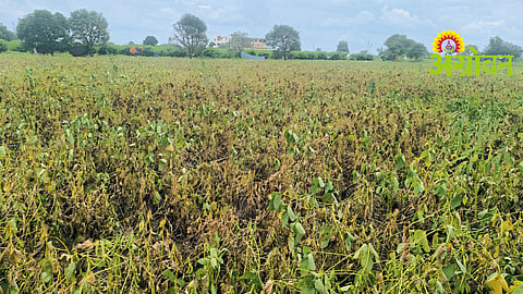 Rainfall Deficit
