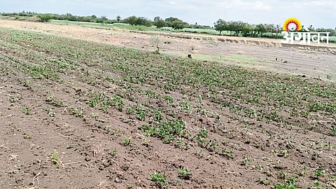 Rainfall Deficit