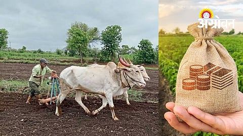 Dhule Achieves 57% Of Kharif Crop Loan Target