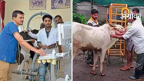 Private Veterinary Colleges