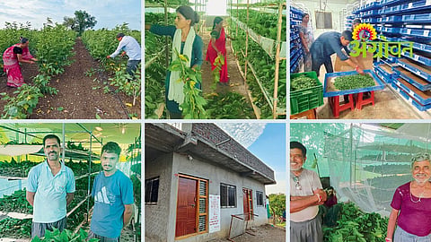 Sericulture Farmers Success Story