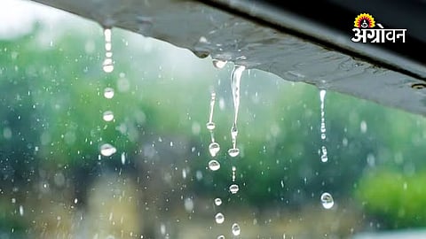 Rain Forecast