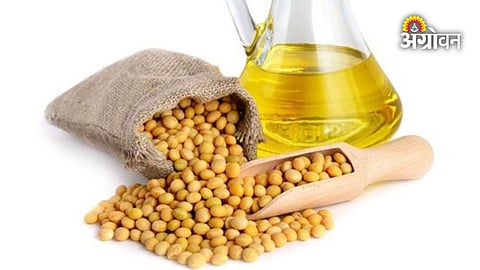 Soybean Oil Imports