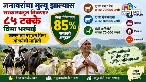 Livestock insurance compensation for animal death