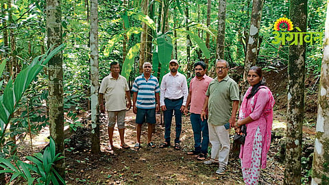 Arecanut Crop Damage