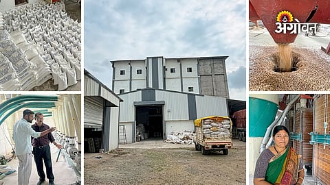 Vandana Akarte food processing industry success