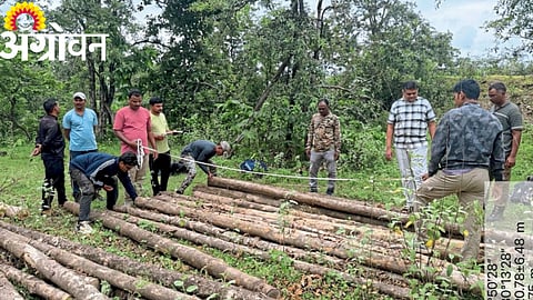 Asarali Forest