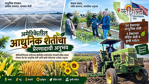 Agricultural innovation in California farming
