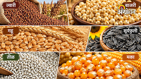 Seed Testing Labs