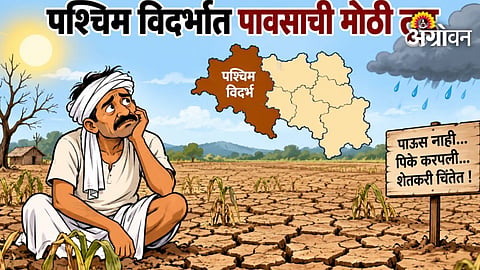 Vidarbha Monsoon