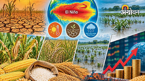 Global agricultural markets prepare for El Nino disruptions