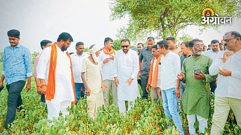 Jadhav directs officials to assess crop losses objectively
