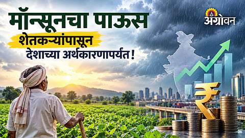 Relationship between monsoon and Indian GDP