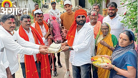 Bullock Sale 