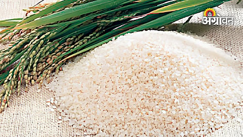 India rice export record despite drought