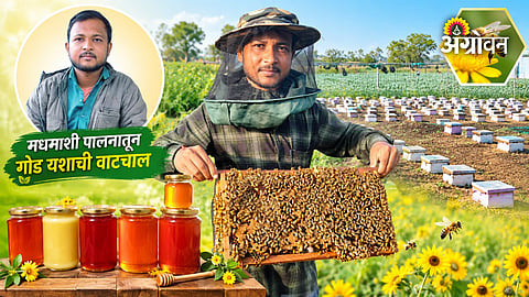 Maharashtra farmer’s innovative beekeeping business
