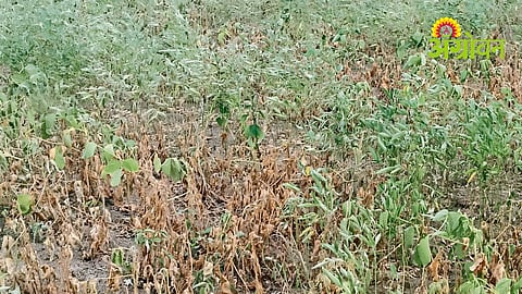 Rain Deficit