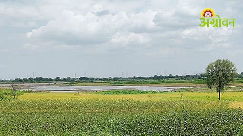 Marathwada Water Storage Update