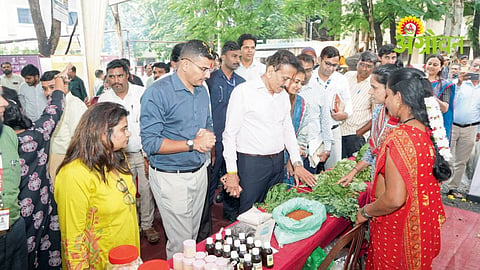 Wild Vegetable Festival